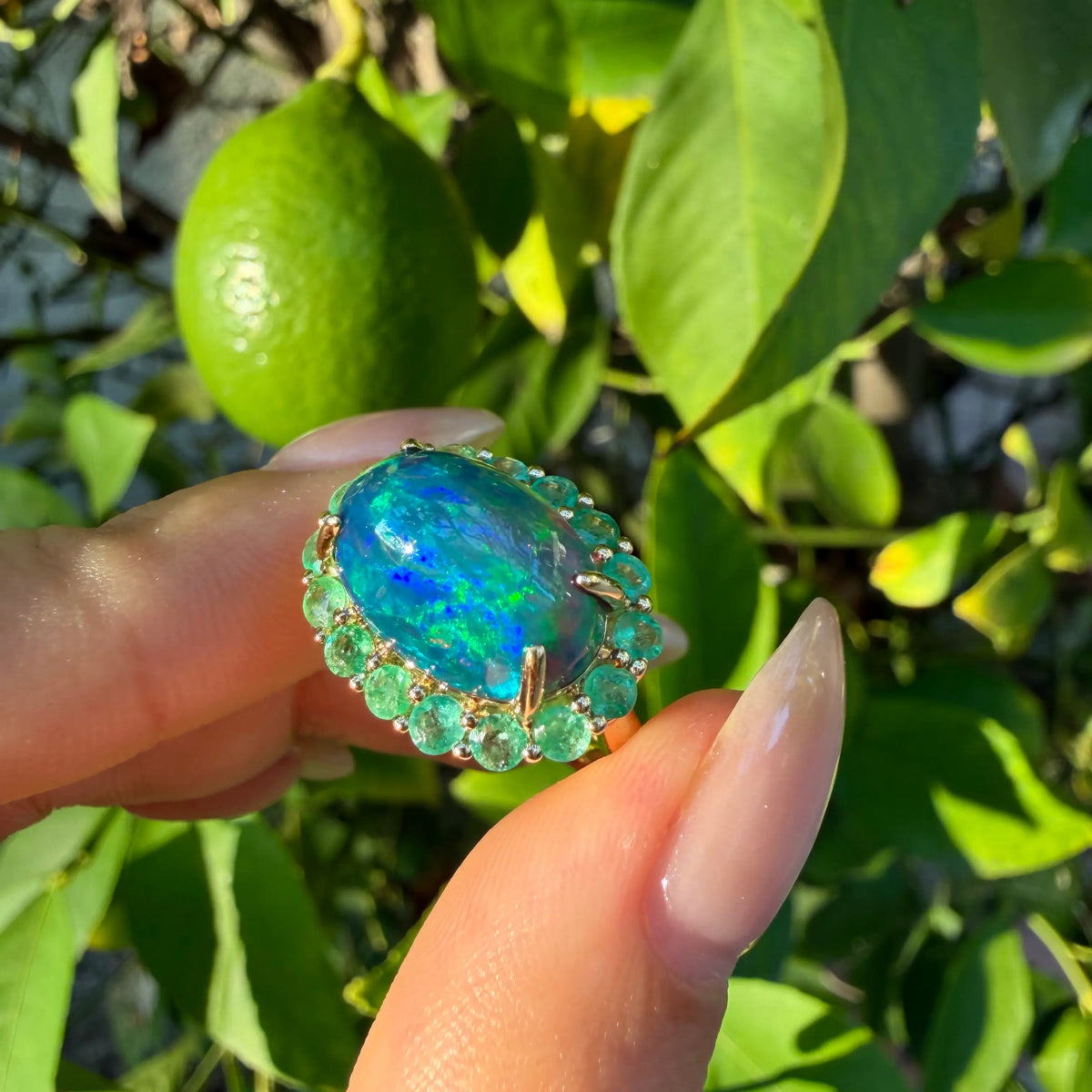 Eden Halo 5.22 ctw Natural Black Opal & Emerald East-West Ring (One-of-a-Kind)