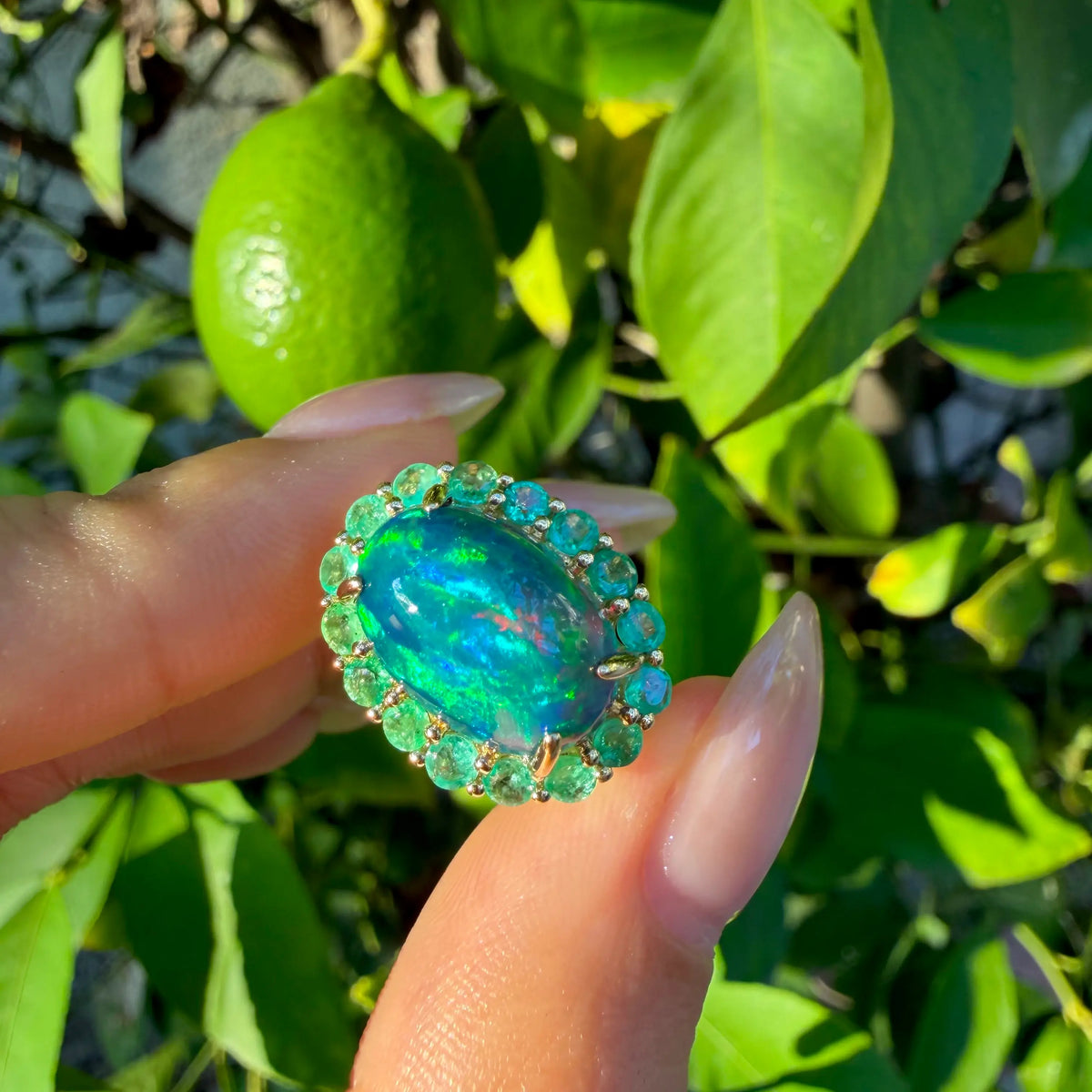 Eden Halo 5.22 ctw Natural Black Opal & Emerald East-West Ring (One-of-a-Kind)