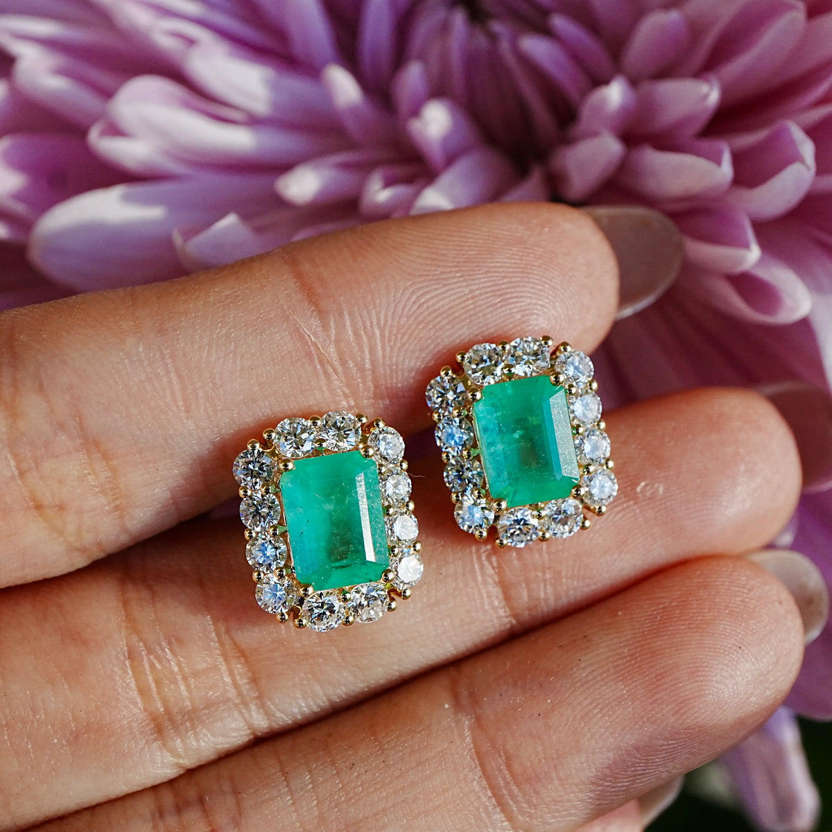 14k yellow gold Eden Halo 4.87 ctw Natural Emerald & Lab Grown Diamond Earrings (One-of-a-Kind)