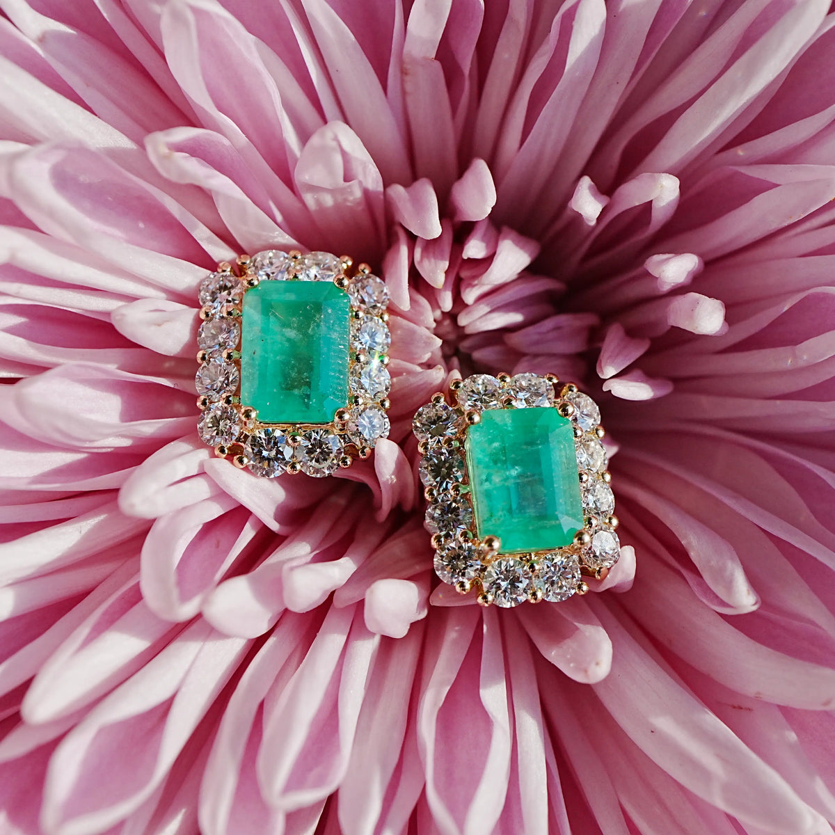 14k yellow gold Eden Halo 4.87 ctw Natural Emerald & Lab Grown Diamond Earrings (One-of-a-Kind)