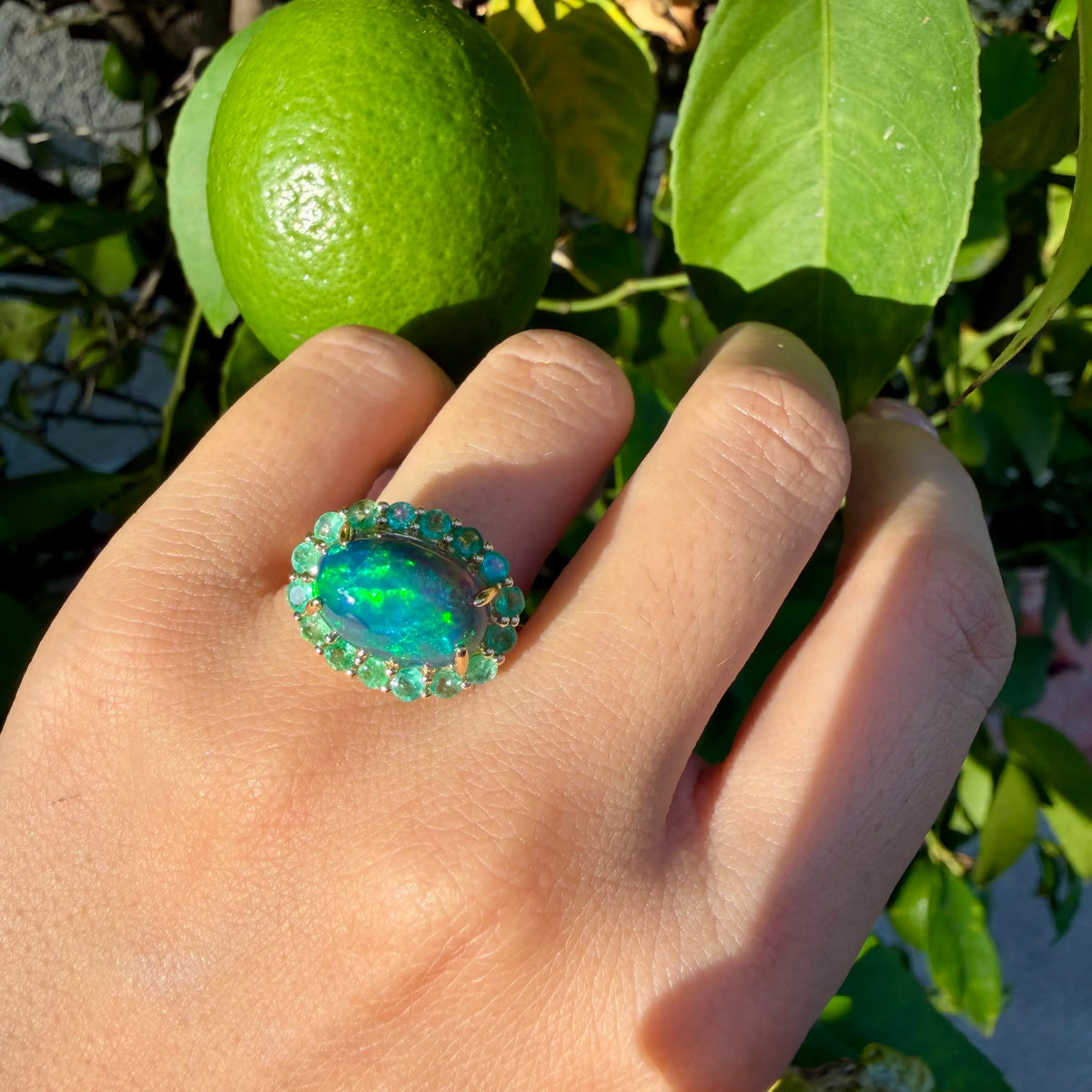 Eden Halo 5.22 ctw Natural Black Opal & Emerald East-West Ring (One-of-a-Kind)