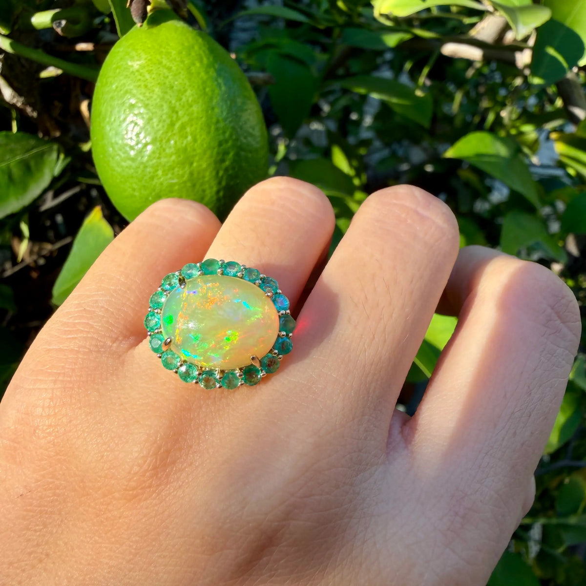 Eden Halo 7.55 ctw Natural Opal & Emerald East-West Ring (One-of-a-Kind)