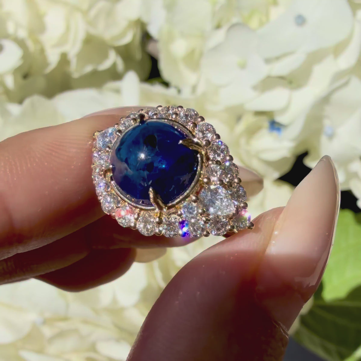 14k yellow gold Aegis Eye 6.03 ctw Natural Sapphire & Lab Grown Diamond Ring (One-of-a-Kind)